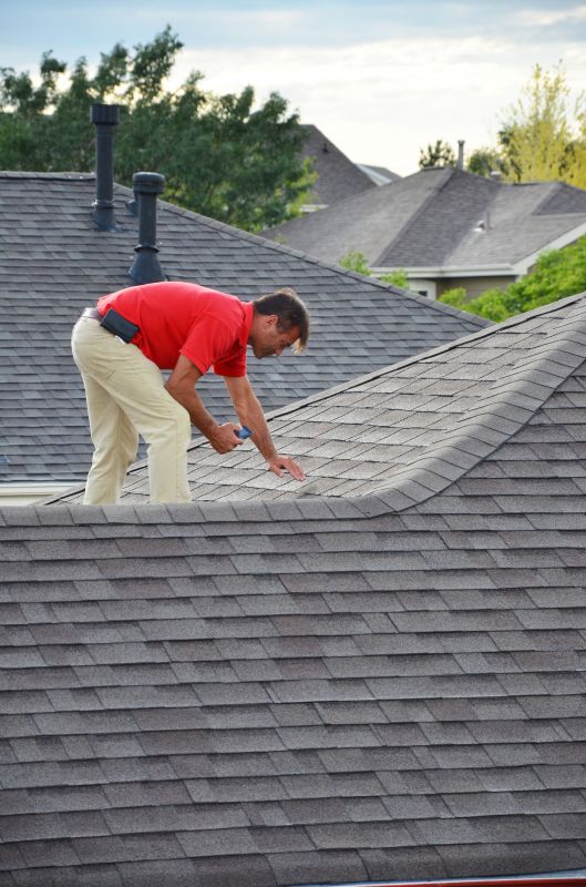 Local Real Estate Roof Inspection pros at work